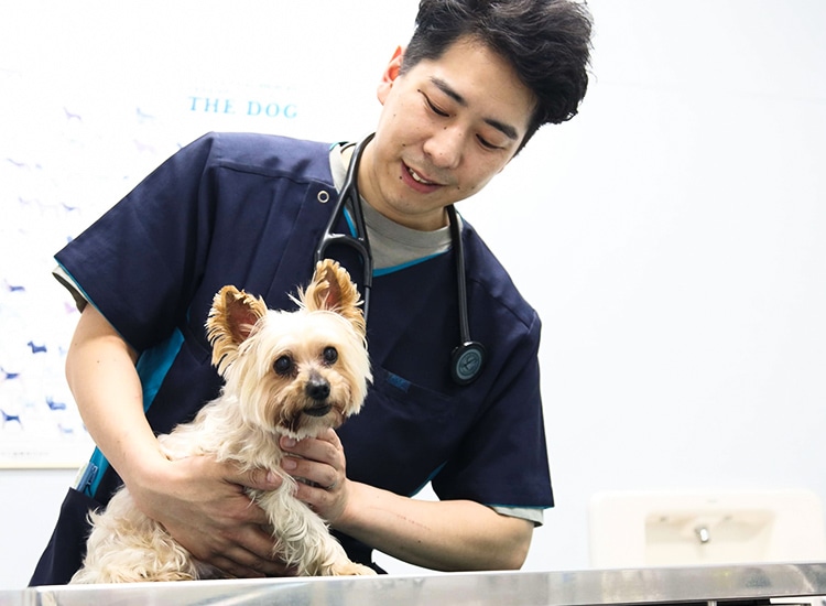 当院は、患者様一人ひとりにたっぷりと診療時間を設け、丁寧に向き合うことを大切にしています