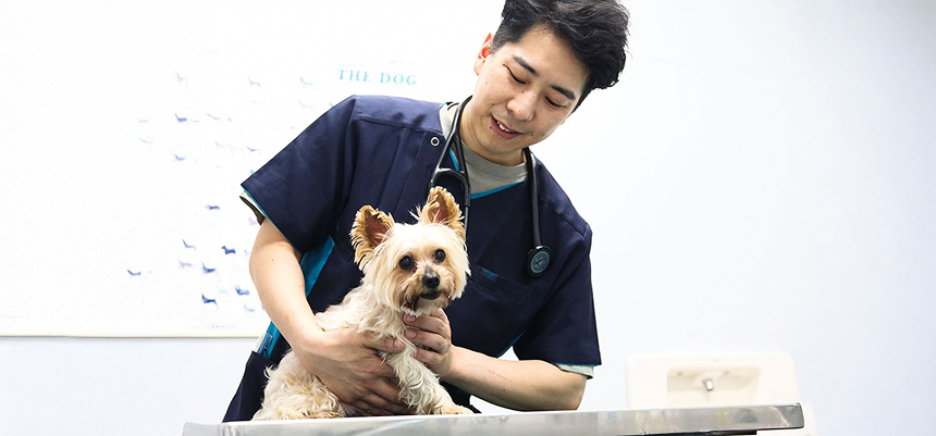 当院は、患者様一人ひとりにたっぷりと診療時間を設け、丁寧に向き合うことを大切にしています