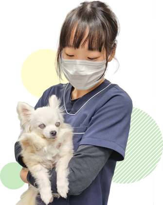 私たちの仕事や職場の雰囲気を、実際に見て感じてみませんか？